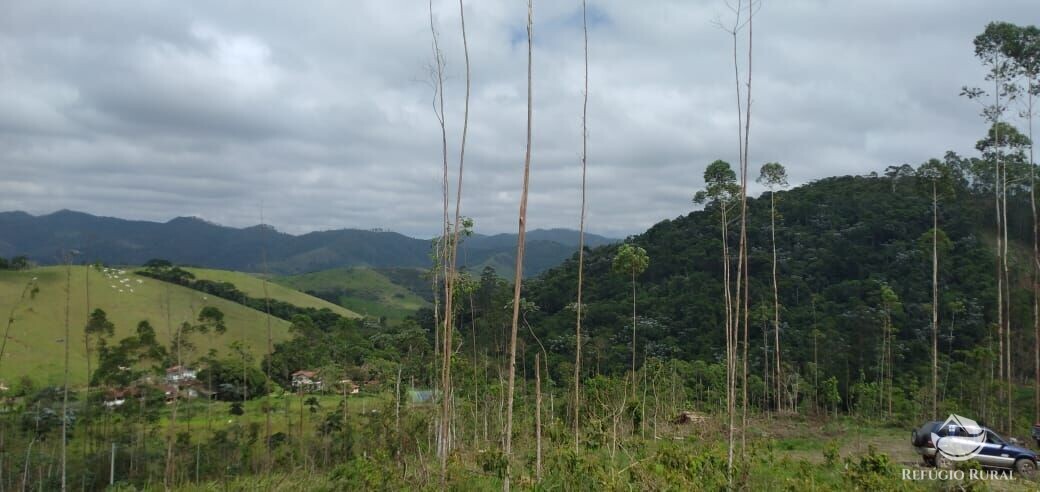 Terreno à venda, 20000m² - Foto 5