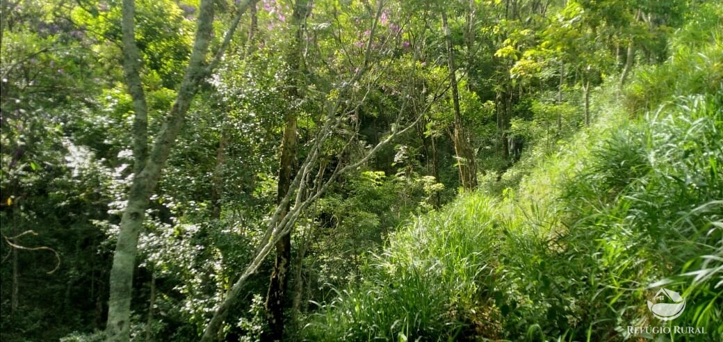 Terreno à venda, 20000m² - Foto 14