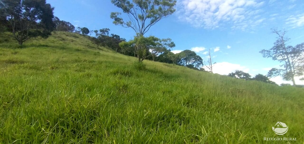 Terreno à venda, 20000m² - Foto 21