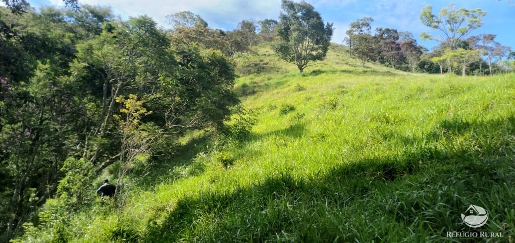 Terreno à venda, 20000m² - Foto 16