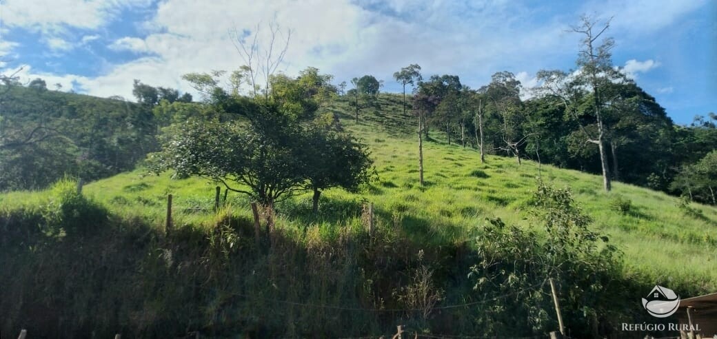 Terreno à venda, 20000m² - Foto 20