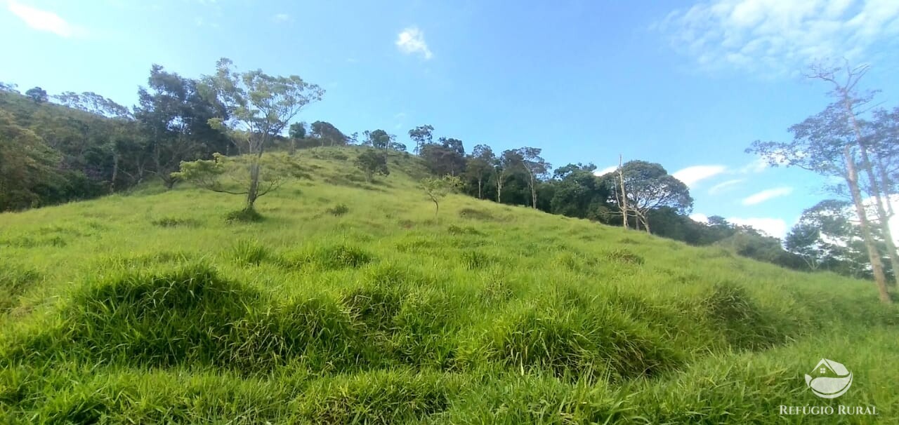 Terreno à venda, 20000m² - Foto 3