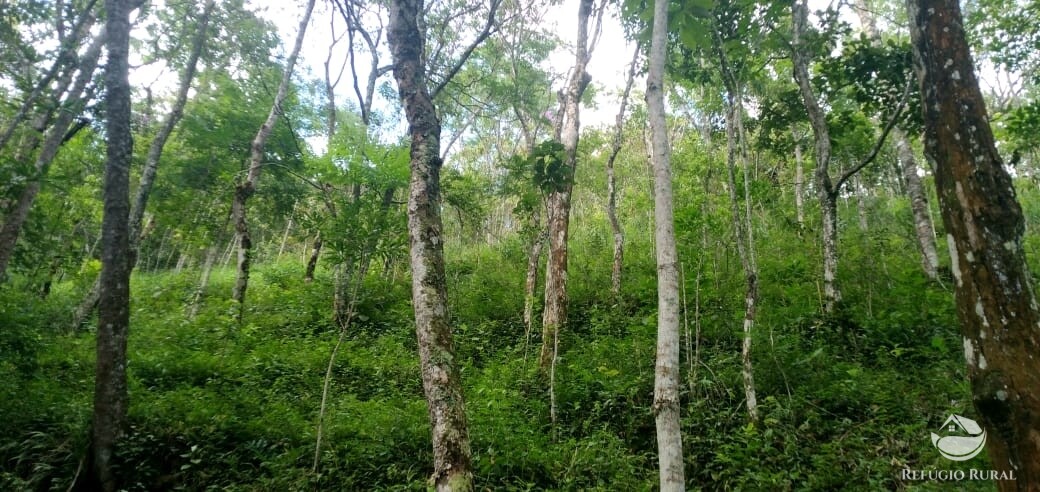 Terreno à venda, 20000m² - Foto 8