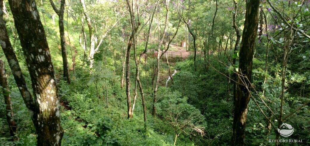 Terreno à venda, 20000m² - Foto 6