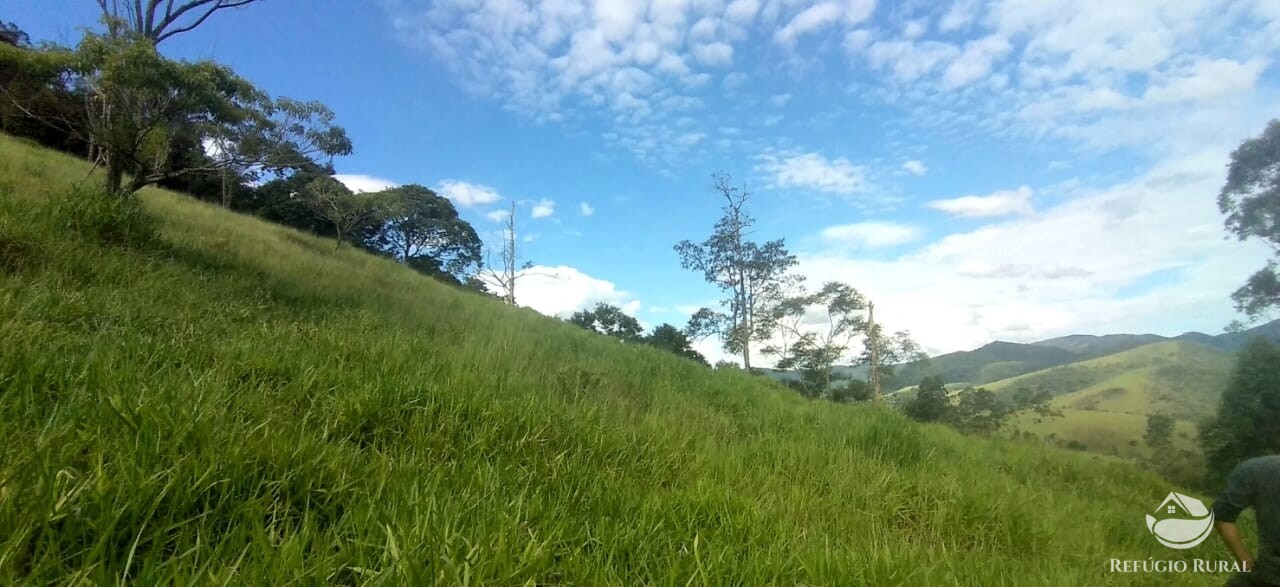 Terreno à venda, 20000m² - Foto 22