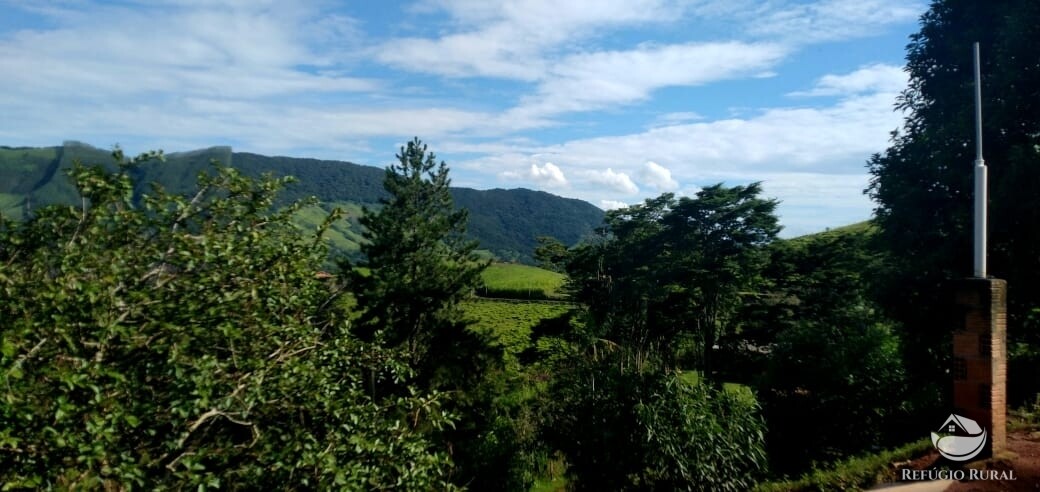 Terreno à venda, 20000m² - Foto 4