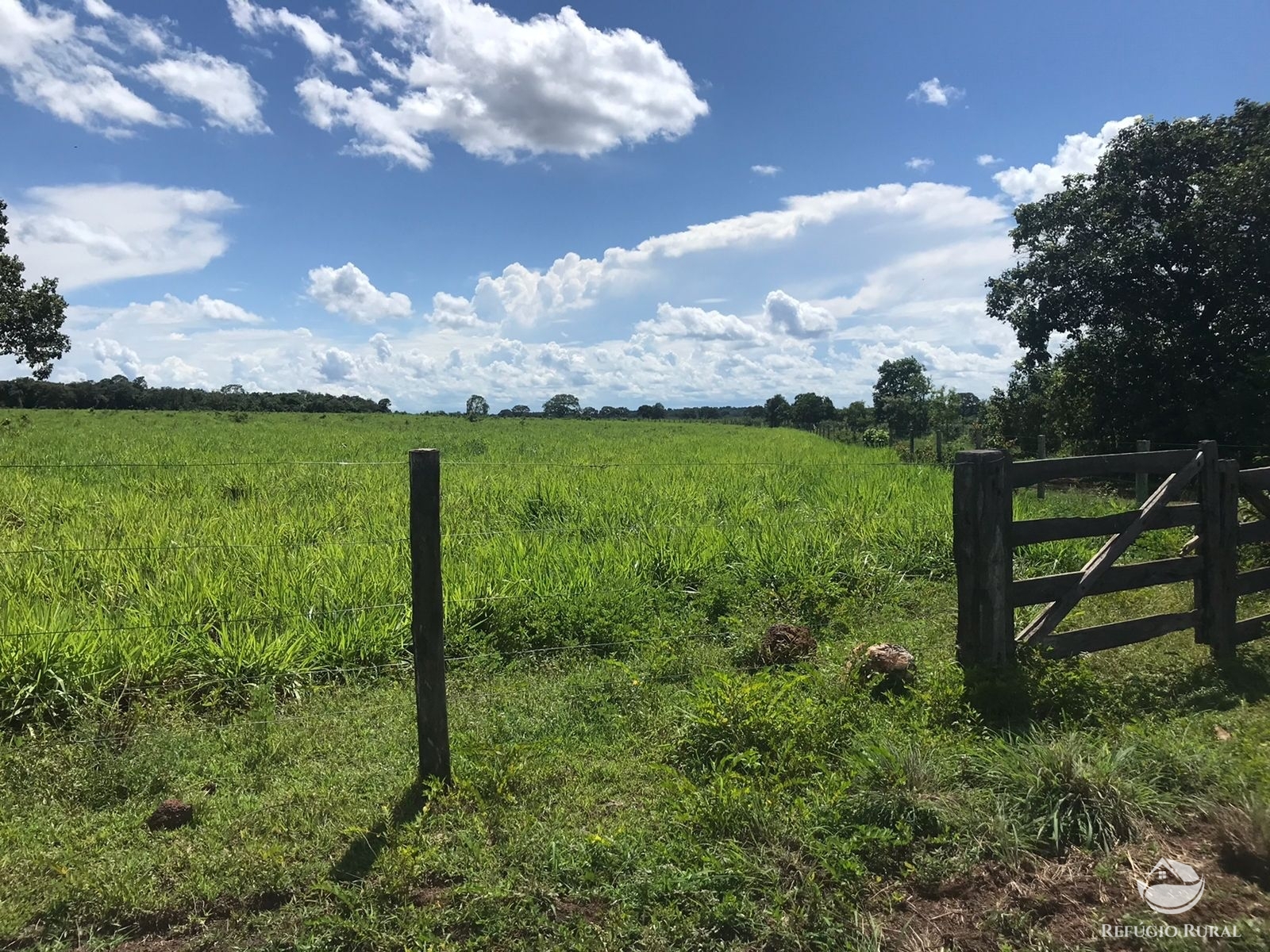 Fazenda à venda com 2 quartos, 12584000m² - Foto 2