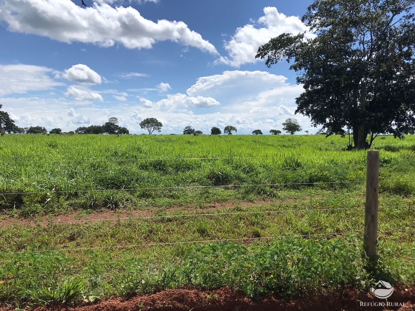 Fazenda à venda com 2 quartos, 12584000m² - Foto 3