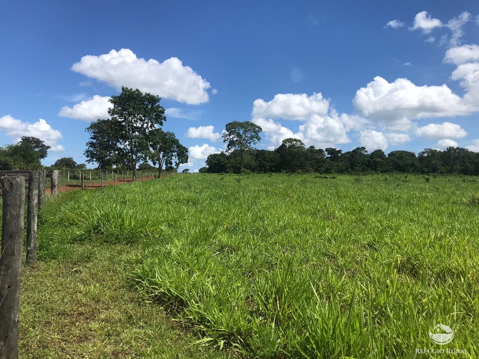 Fazenda à venda com 2 quartos, 12584000m² - Foto 6