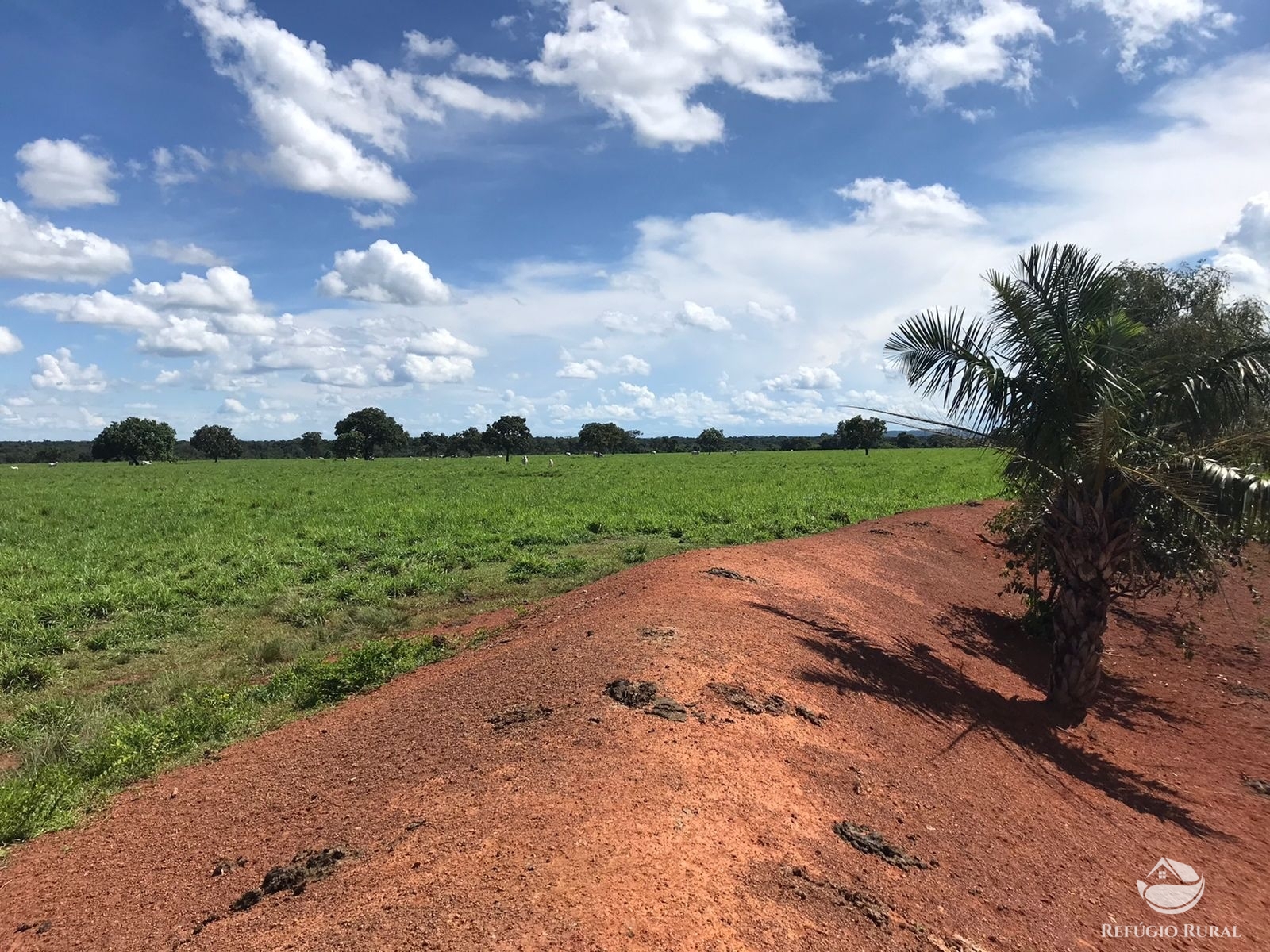 Fazenda à venda com 2 quartos, 12584000m² - Foto 9