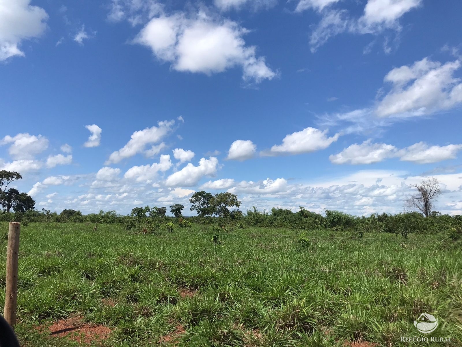 Fazenda à venda com 2 quartos, 12584000m² - Foto 10