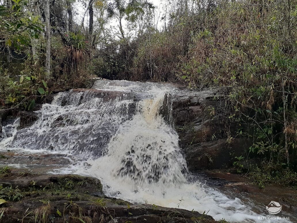 Fazenda à venda com 3 quartos, 47500m² - Foto 1