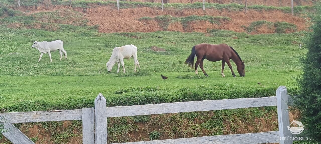 Fazenda à venda com 3 quartos, 47500m² - Foto 14