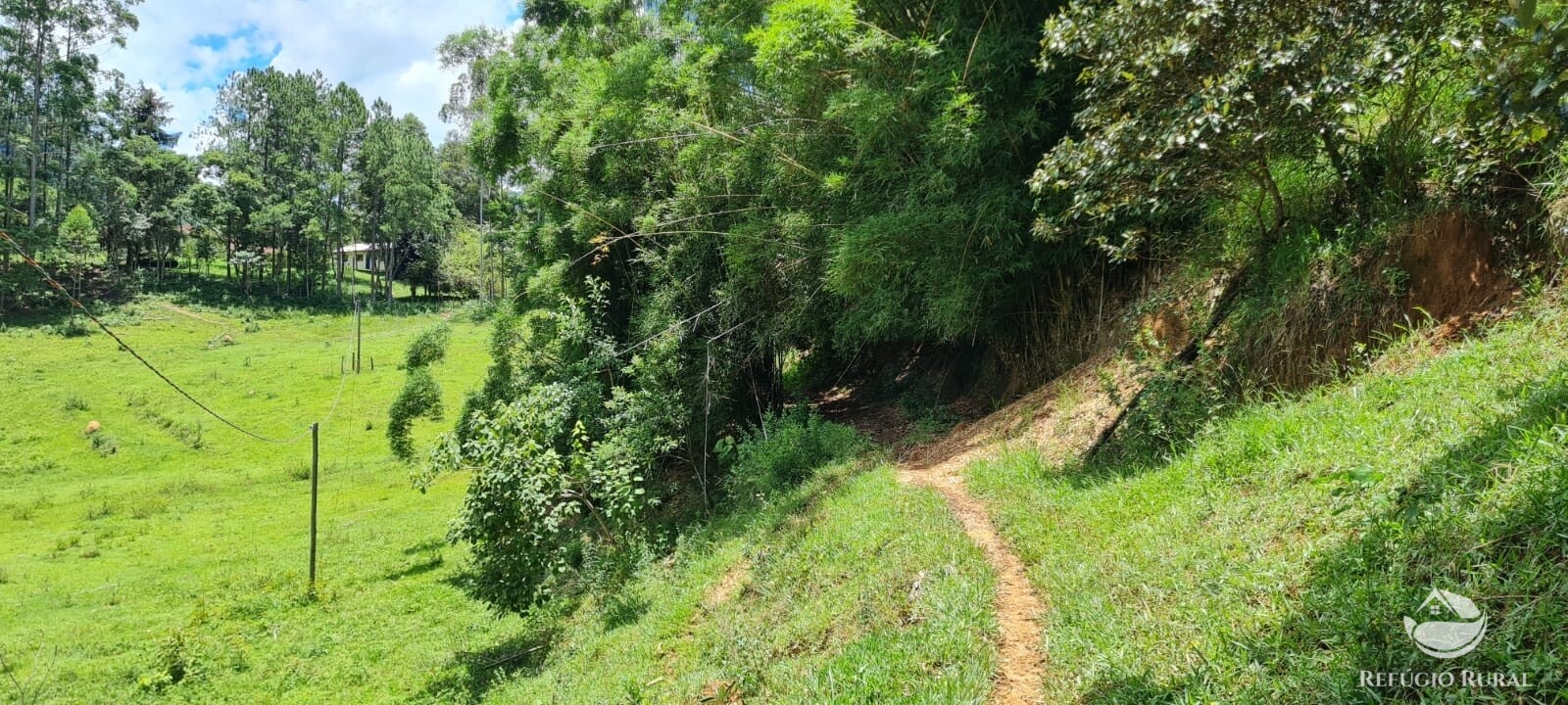 Fazenda à venda com 3 quartos, 47500m² - Foto 20