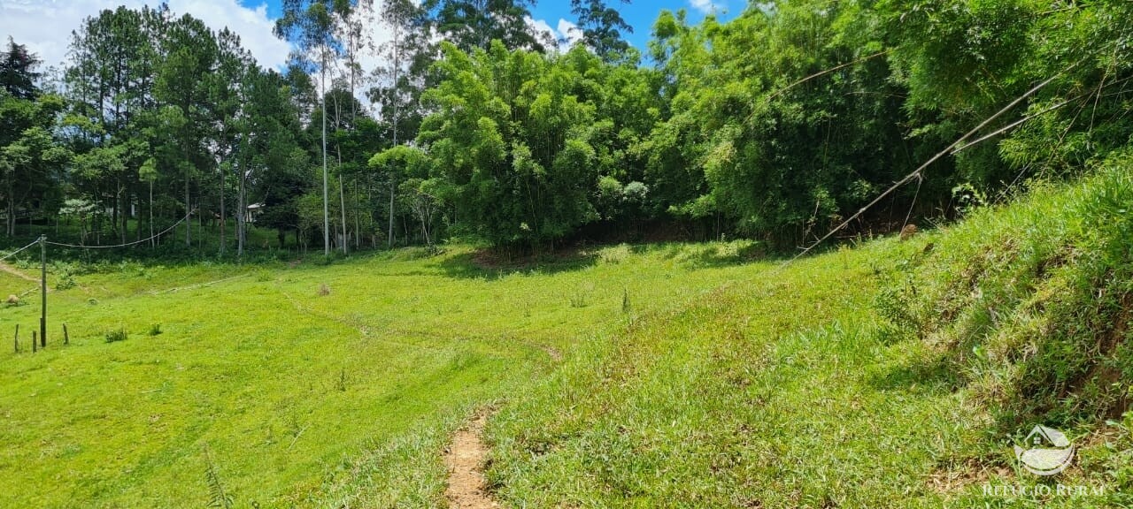 Fazenda à venda com 3 quartos, 47500m² - Foto 21