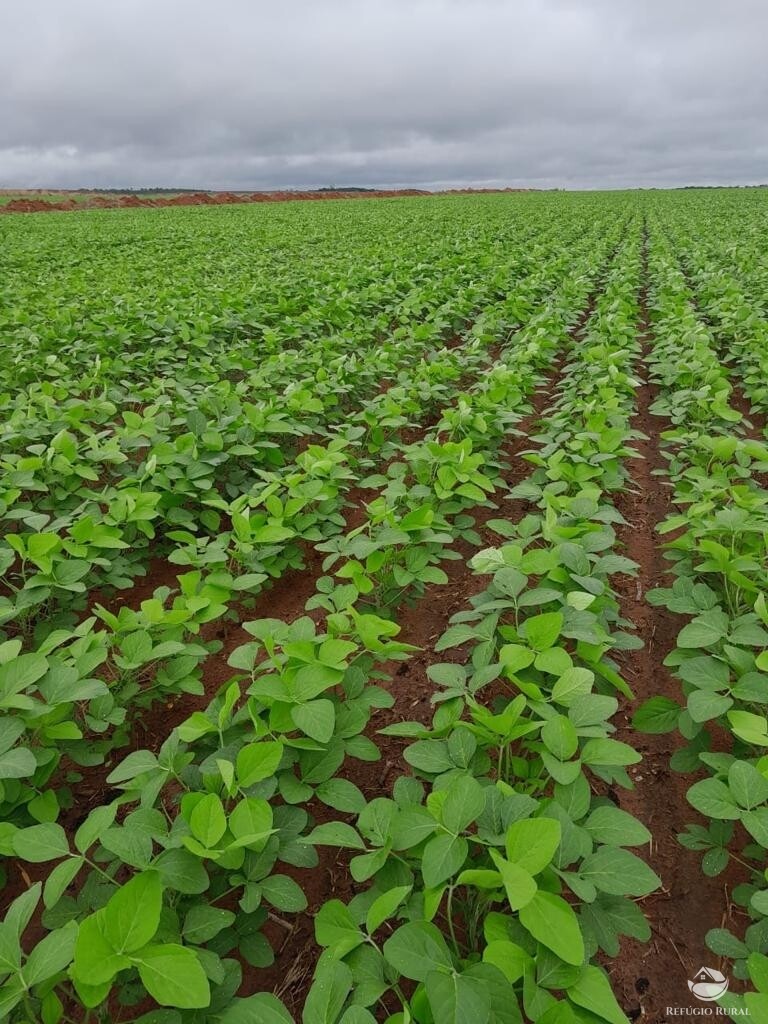 Fazenda à venda com 4 quartos, 21500000m² - Foto 3