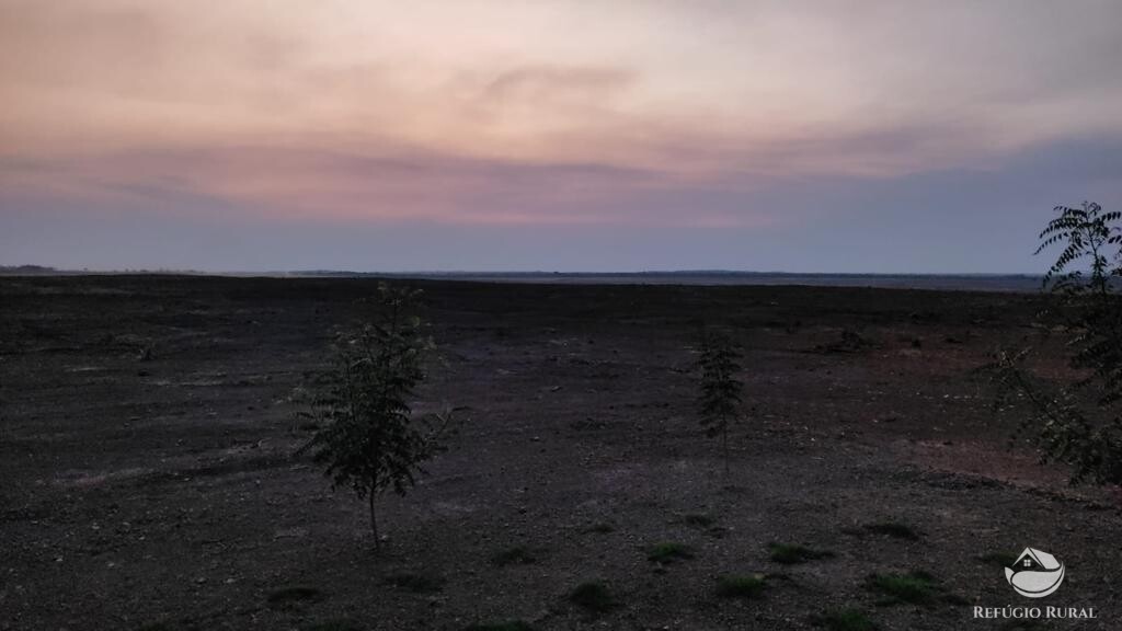 Fazenda à venda com 4 quartos, 21500000m² - Foto 1