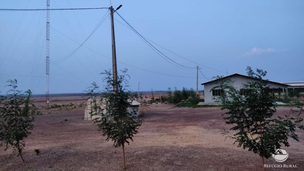 Fazenda à venda com 4 quartos, 21500000m² - Foto 7