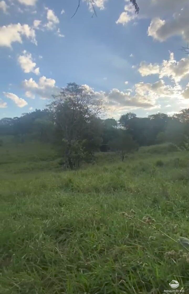 Fazenda, 363 hectares - Foto 5