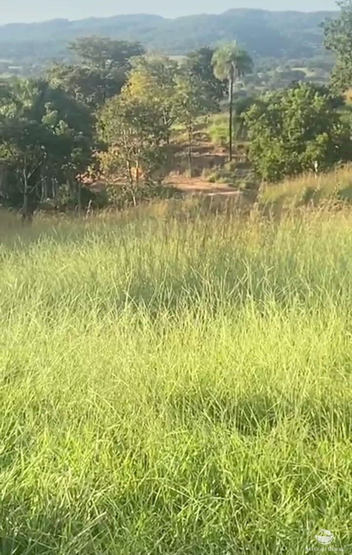 Fazenda, 363 hectares - Foto 2