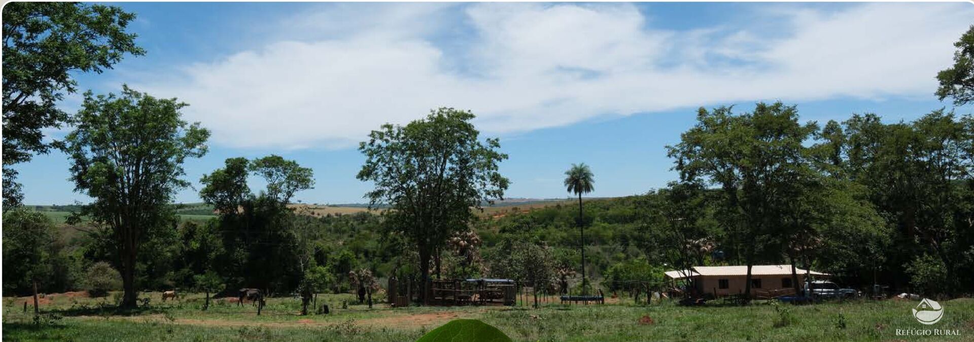 Chácara, 20 hectares - Foto 5