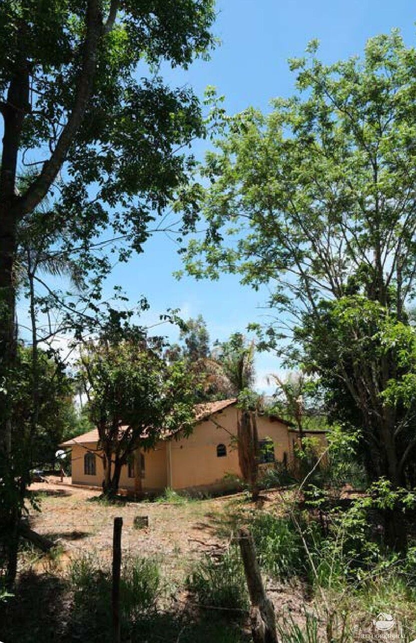 Chácara, 20 hectares - Foto 2