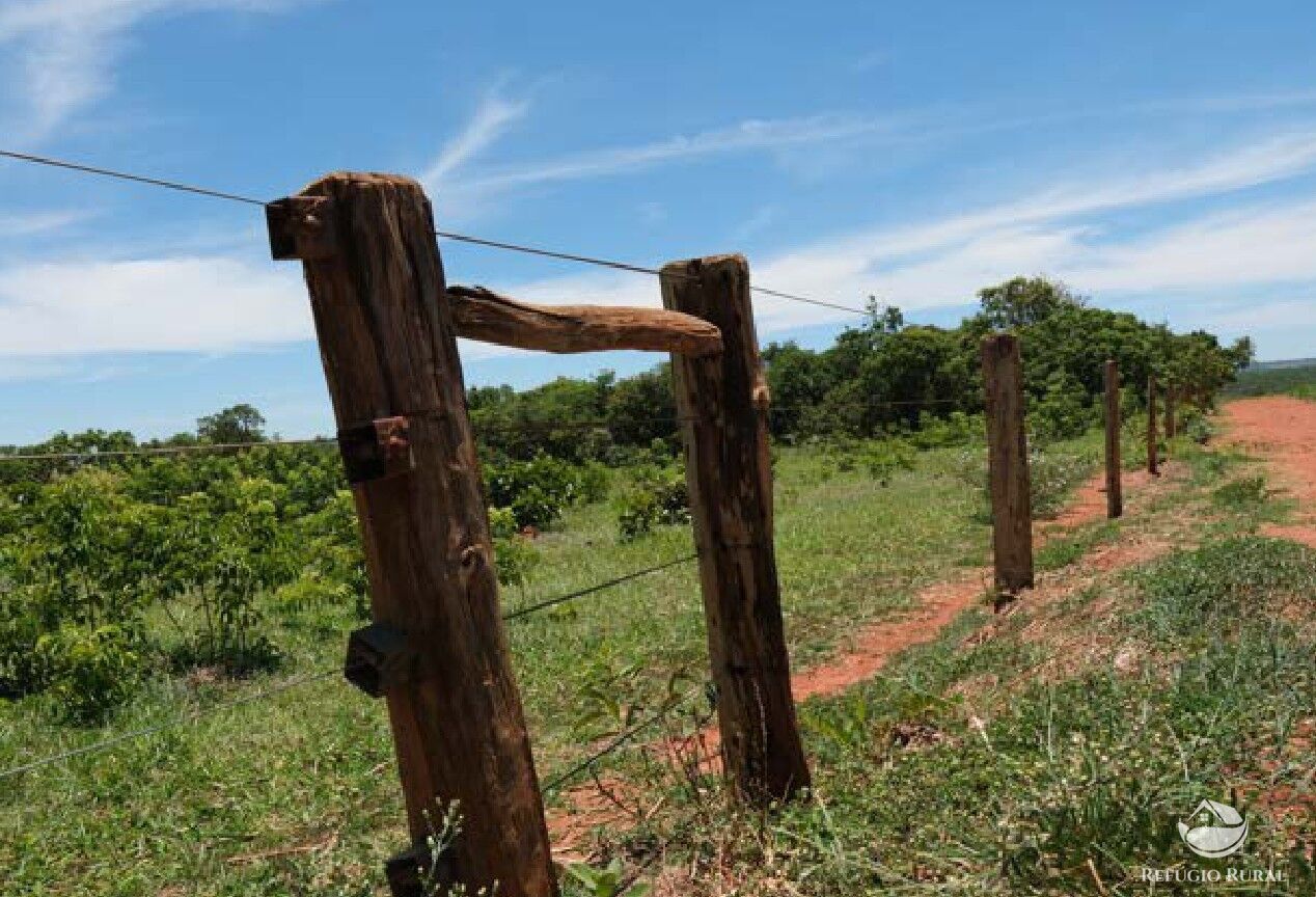 Chácara, 20 hectares - Foto 19