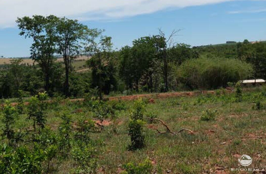 Chácara, 20 hectares - Foto 9