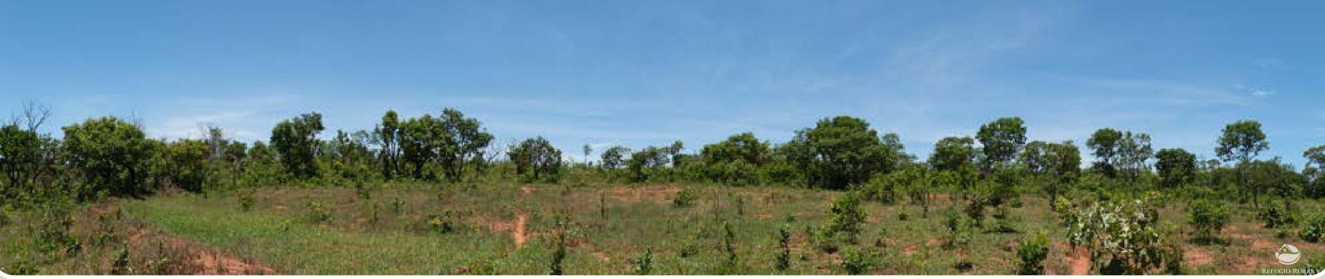 Chácara, 20 hectares - Foto 12