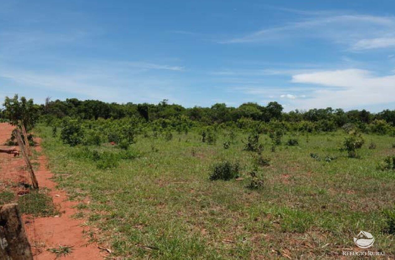 Chácara, 20 hectares - Foto 18
