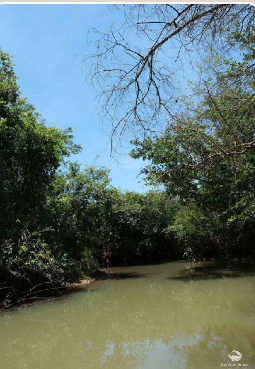 Chácara, 20 hectares - Foto 3