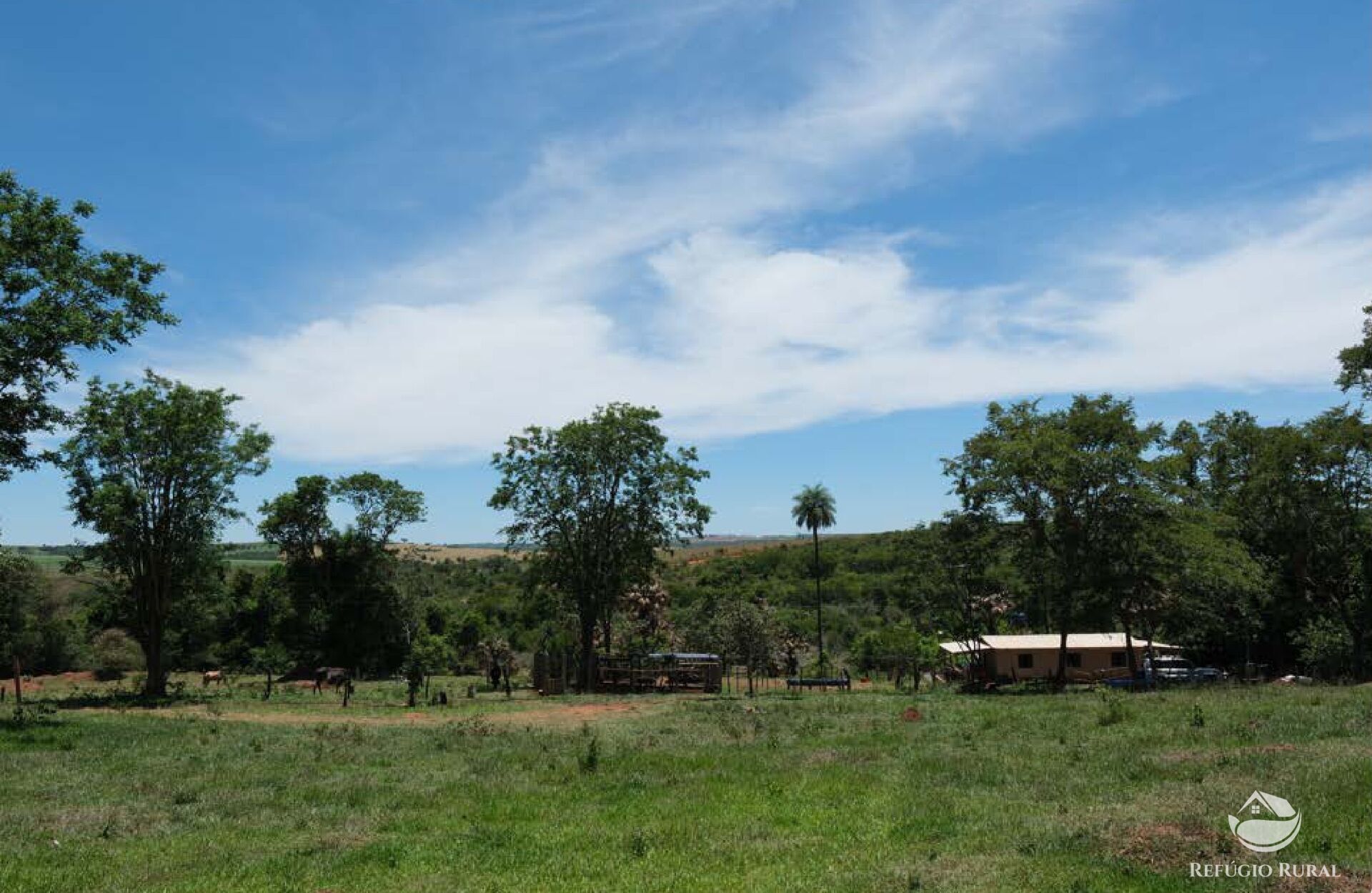 Chácara, 20 hectares - Foto 1