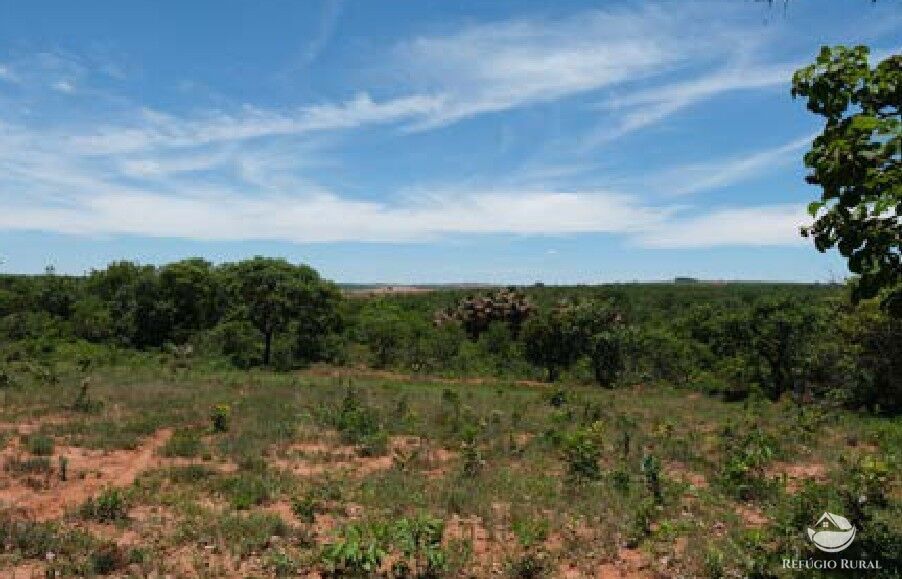 Chácara, 20 hectares - Foto 14