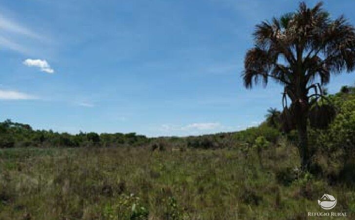 Chácara, 20 hectares - Foto 4