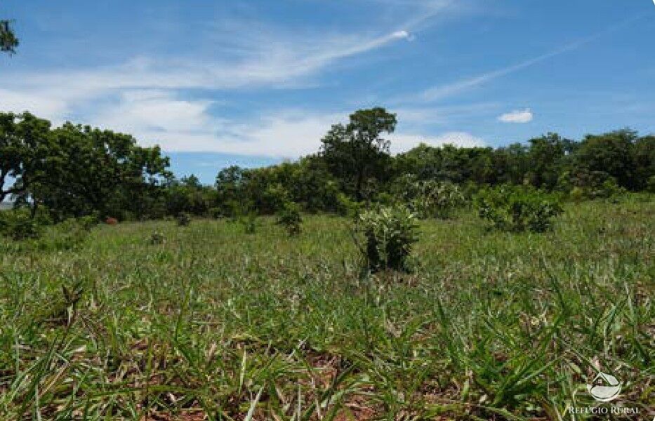Chácara, 20 hectares - Foto 11