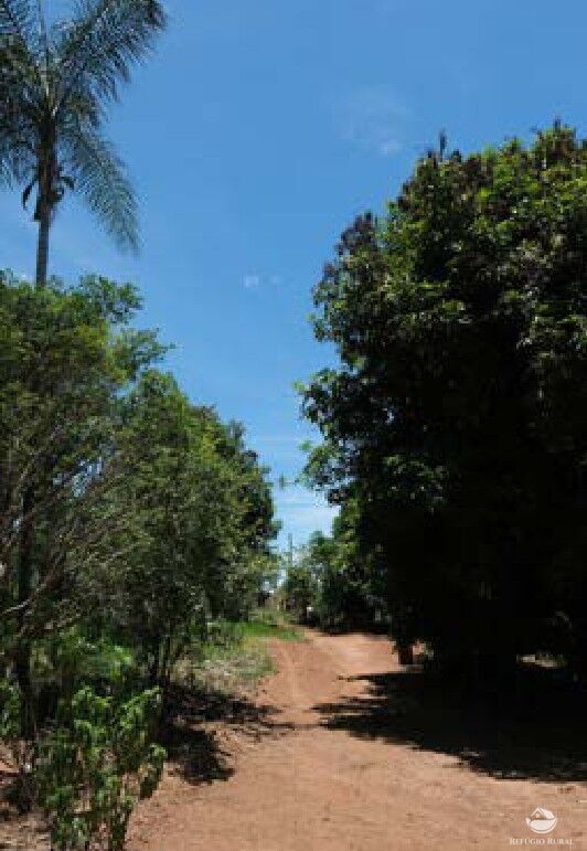 Chácara, 20 hectares - Foto 17