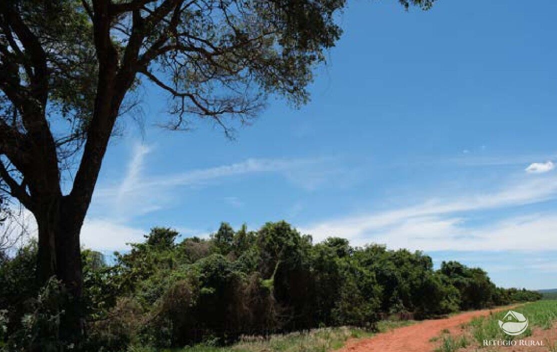 Chácara, 20 hectares - Foto 15