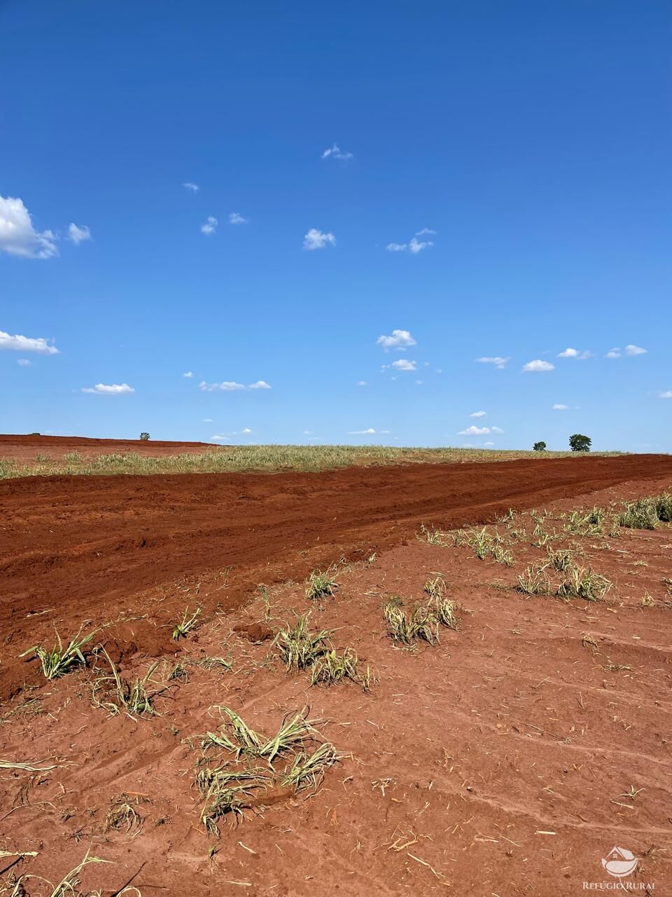 Fazenda à venda com 2 quartos, 7220000m² - Foto 2
