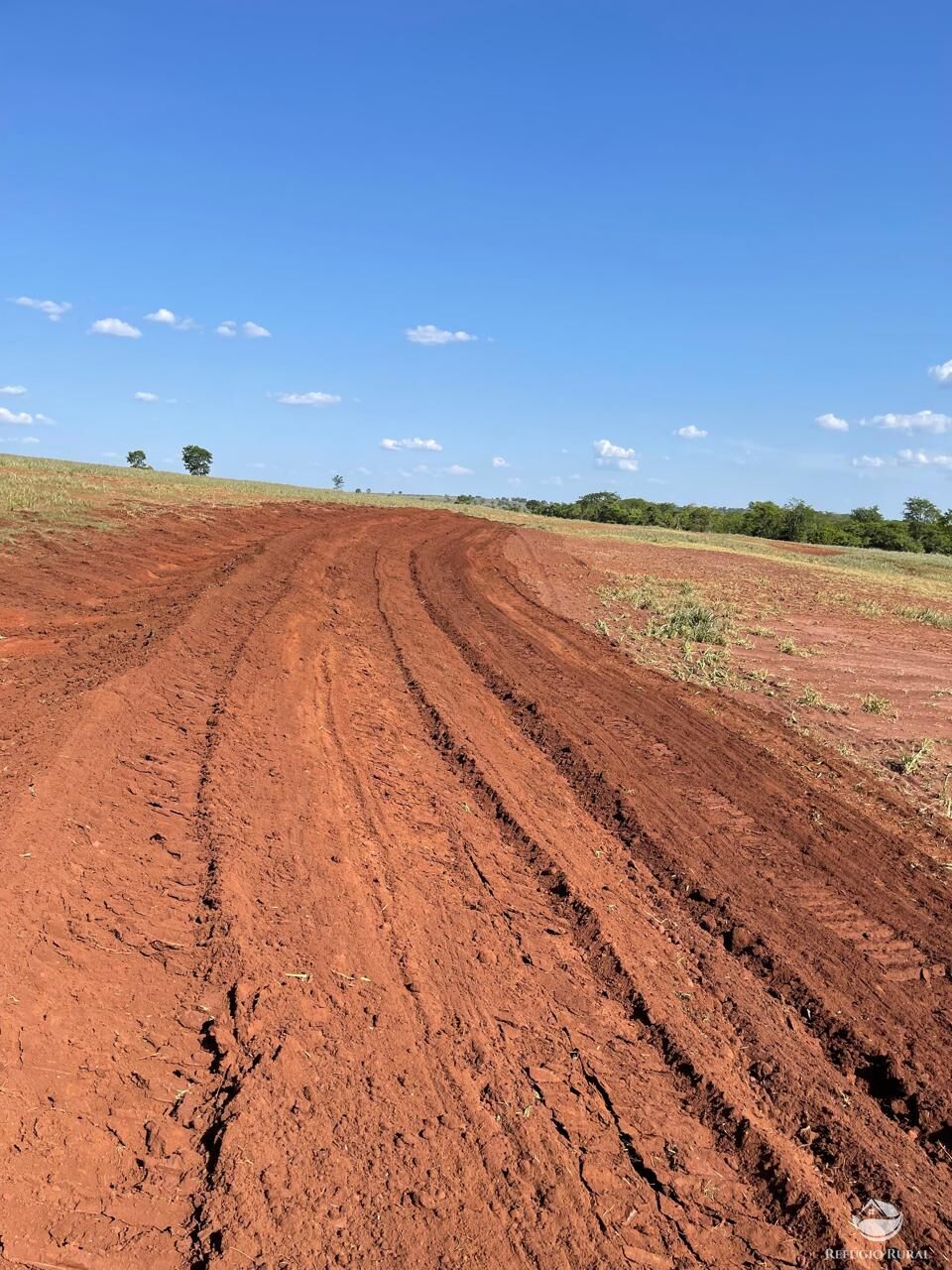 Fazenda à venda com 2 quartos, 7220000m² - Foto 4