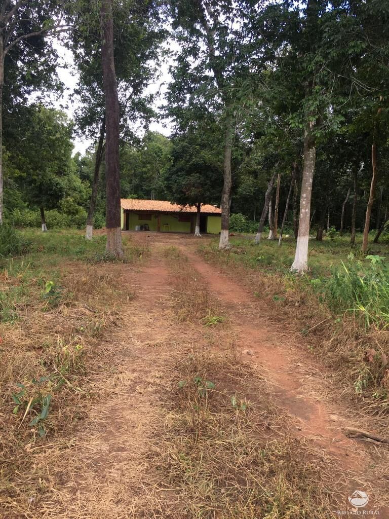 Fazenda, 4381 hectares - Foto 5