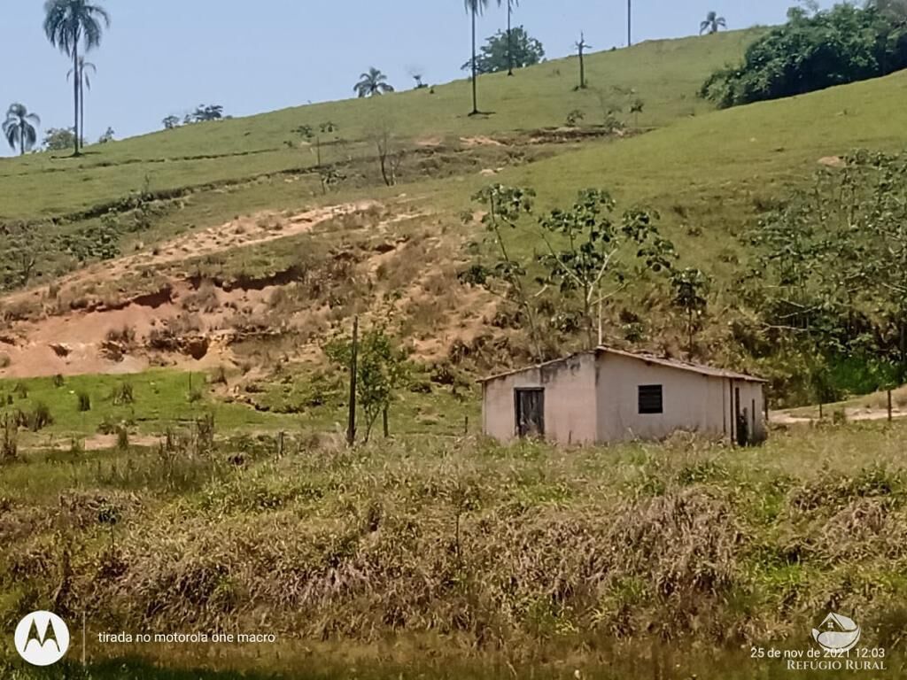 Fazenda à venda com 1 quarto, 798600m² - Foto 25