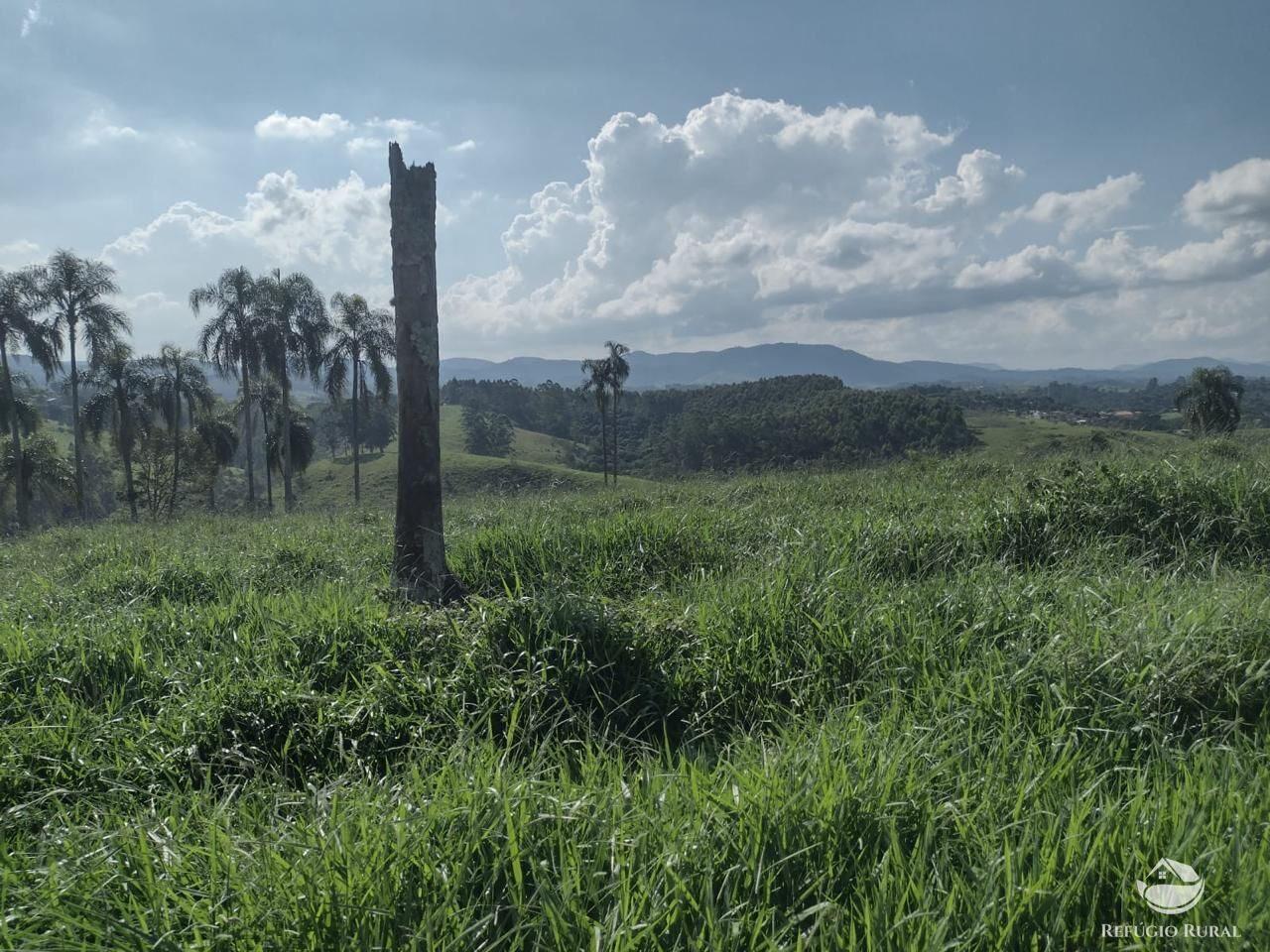 Fazenda à venda com 1 quarto, 798600m² - Foto 16