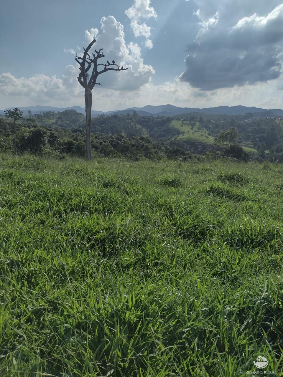 Fazenda à venda com 1 quarto, 798600m² - Foto 7