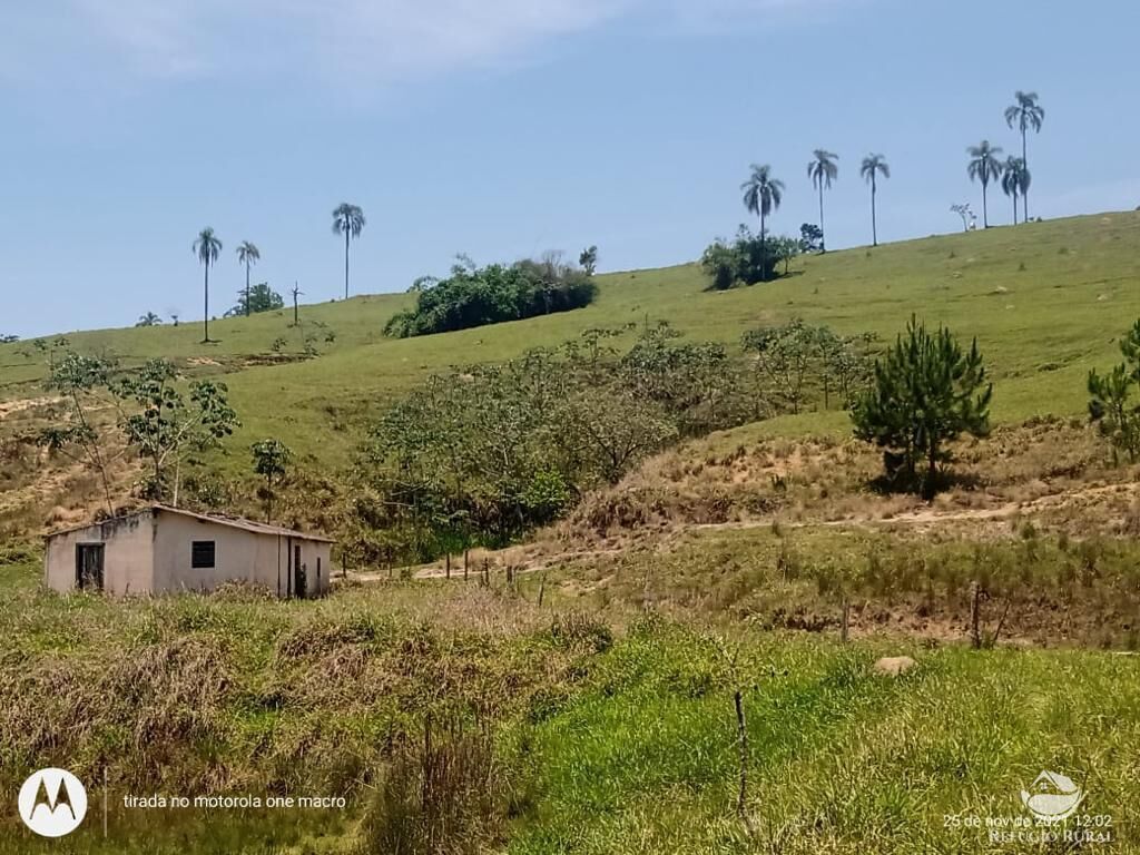 Fazenda à venda com 1 quarto, 798600m² - Foto 29