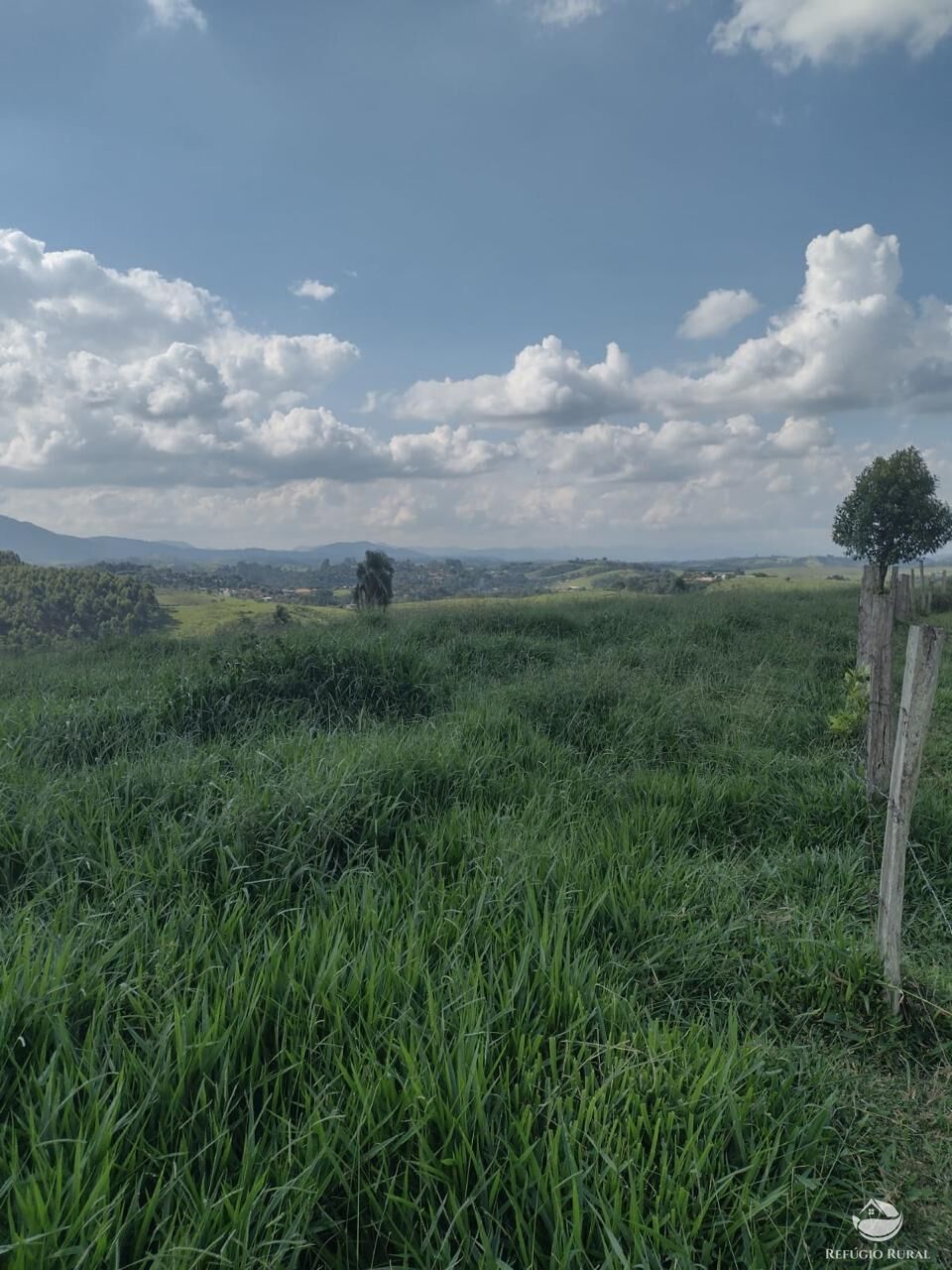 Fazenda à venda com 1 quarto, 798600m² - Foto 18