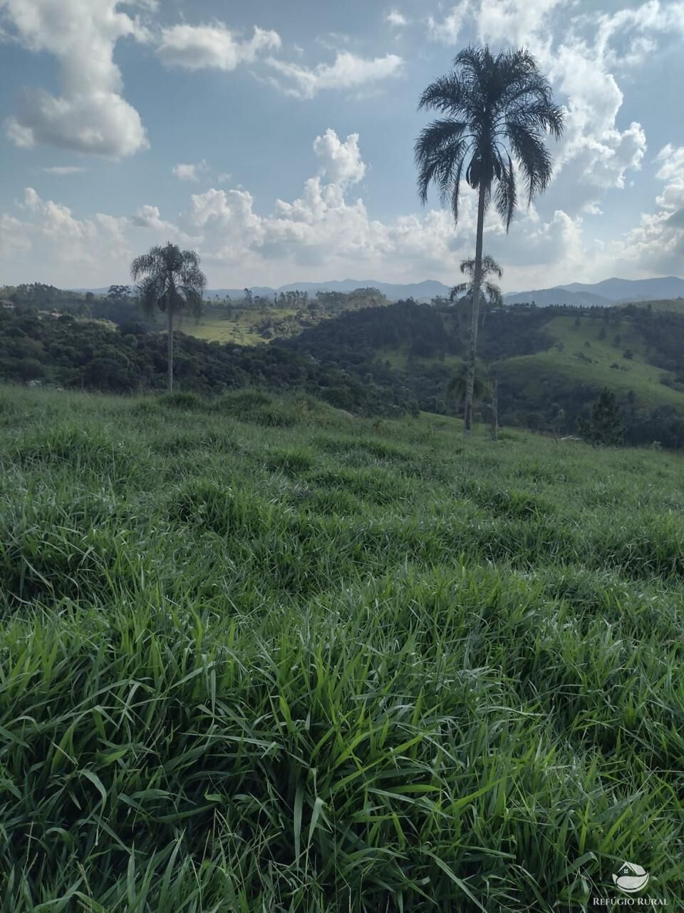 Fazenda à venda com 1 quarto, 798600m² - Foto 9