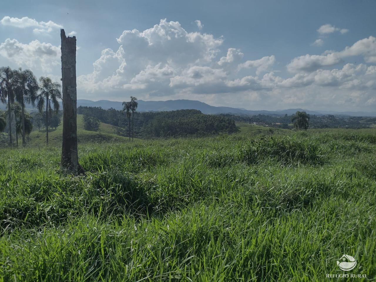 Fazenda à venda com 1 quarto, 798600m² - Foto 20