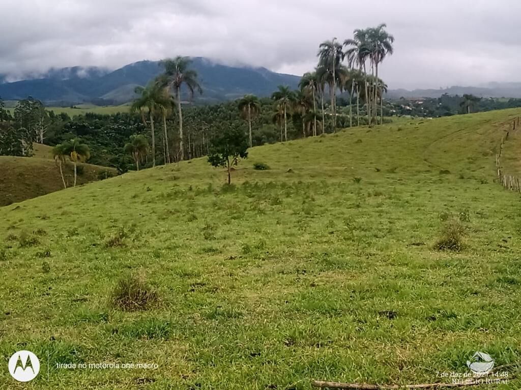 Fazenda à venda com 1 quarto, 798600m² - Foto 33