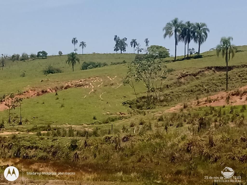 Fazenda à venda com 1 quarto, 798600m² - Foto 27