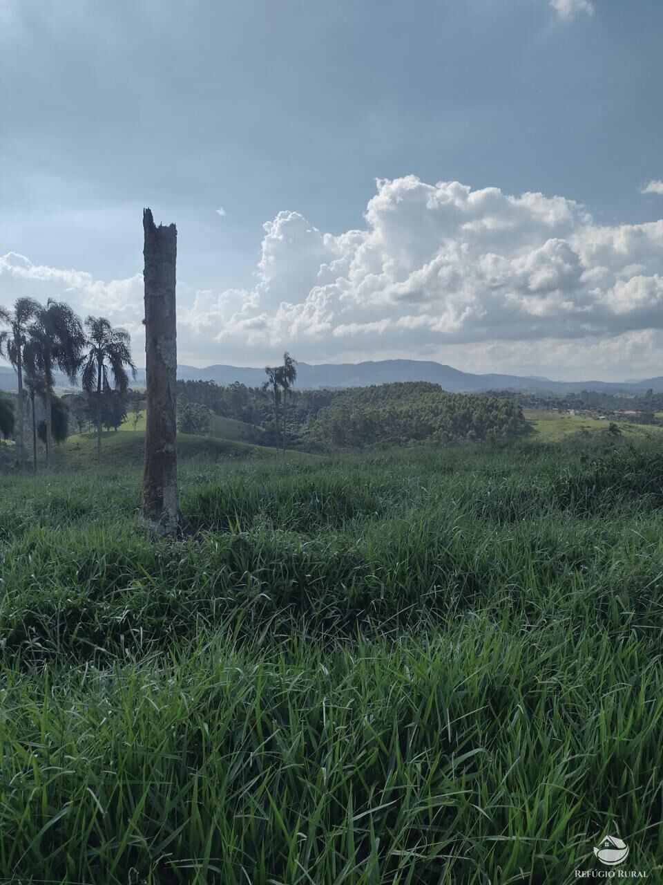 Fazenda à venda com 1 quarto, 798600m² - Foto 12